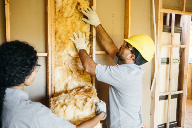 Best Basement Insulation  in Parlier, CA