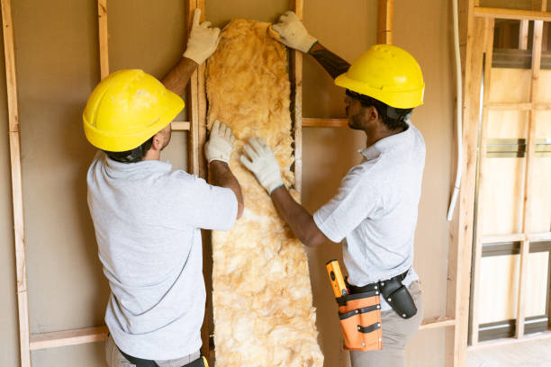 Best Eco-Friendly or Green Insulation Solutions  in Parlier, CA