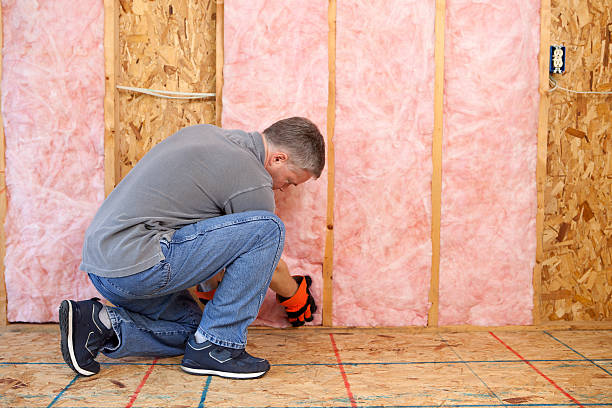 Best Spray Foam Insulation  in Parlier, CA