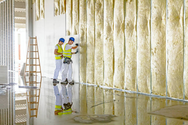 Best Insulation for New Construction  in Parlier, CA